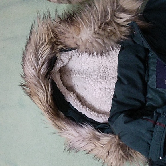 American Eagle hooded winter coat, Size Medium, Green - Picture 3 of 7